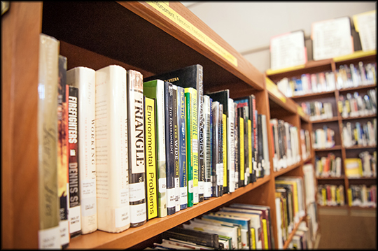 library shelves with books including "Firefighters," "Triangle" and "Environmental Problems"